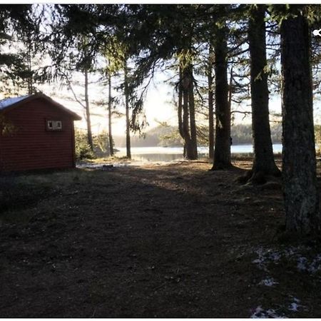 Cabin in the woods, Lolandsvannet near Kristiansand Vennesla Buitenkant foto