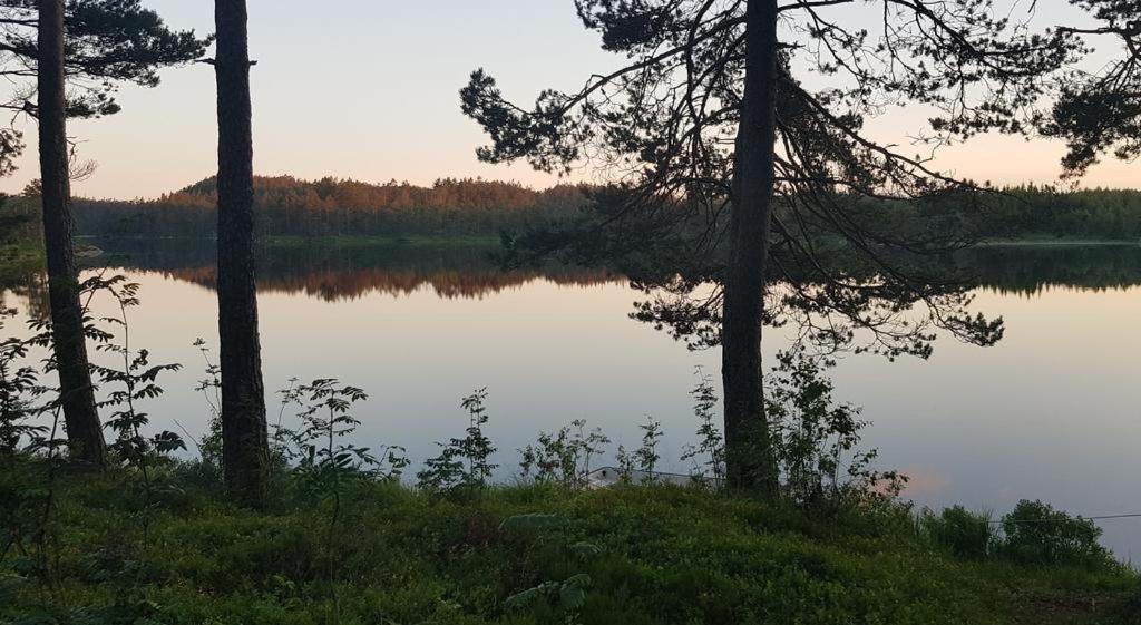 Cabin in the woods, Lolandsvannet near Kristiansand Vennesla Buitenkant foto