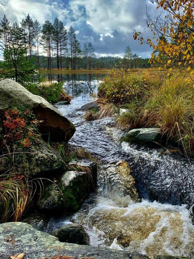 Cabin in the woods, Lolandsvannet near Kristiansand Vennesla Buitenkant foto
